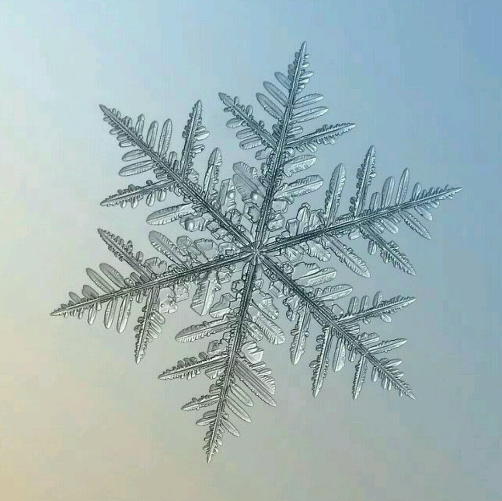 Meet your Posher, Annie